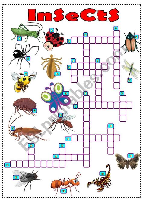 crossword clue insect|insect crossword clue 6 letters.